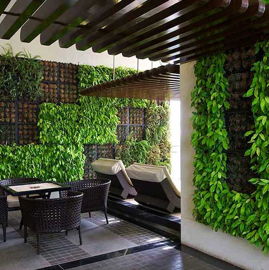 Green Planet Kerala,Landscape Design & Construction Kerala, Water Features & Lighting Kerala, Hardscape Kerala, Indoor Garden Kerala, Vertical Garden Kerala, Green Roof Kerala - greenplanetkerala.in