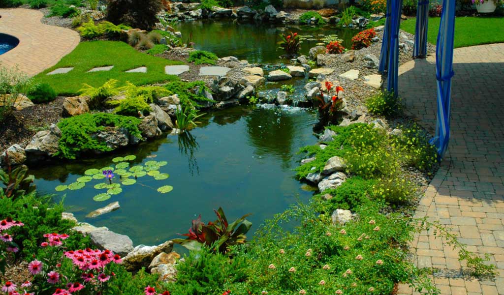 Green Planet Kerala,Landscape Design & Construction Kerala, Water Features & Lighting Kerala, Hardscape Kerala, Indoor Garden Kerala - greenplanetkerala.in