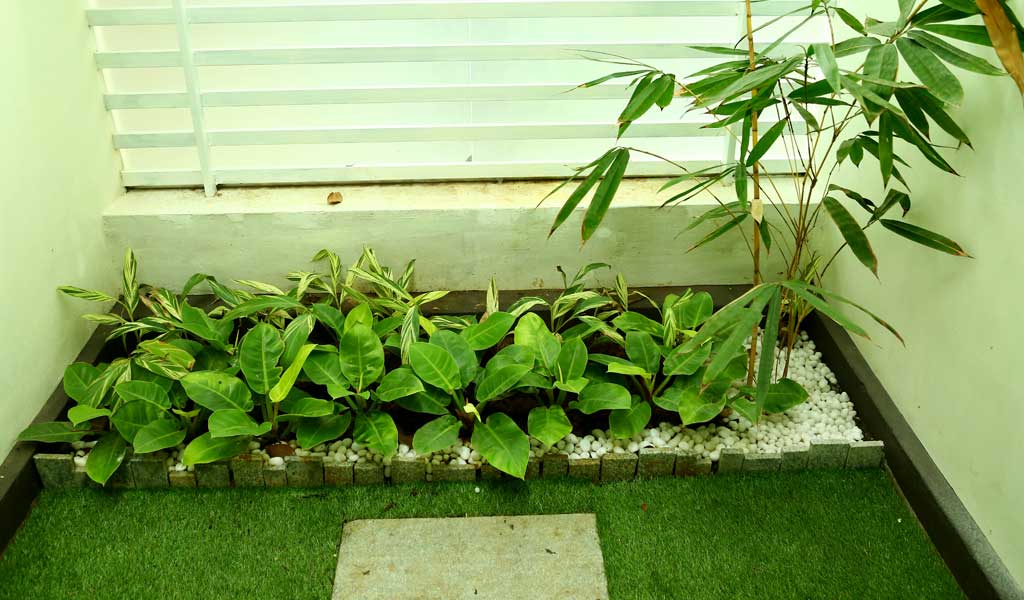 Green Planet Kerala,Landscape Design & Construction Kerala, Water Features & Lighting Kerala, Hardscape Kerala, Indoor Garden Kerala - greenplanetkerala.in