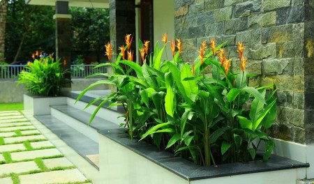 Green Planet Kerala,Landscape Design & Construction Kerala, Water Features & Lighting Kerala, Hardscape Kerala, Indoor Garden Kerala - greenplanetkerala.in