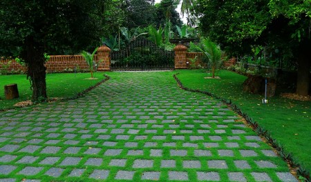 Green Planet Kerala,Landscape Design & Construction Kerala, Water Features & Lighting Kerala, Hardscape Kerala, Indoor Garden Kerala - greenplanetkerala.in