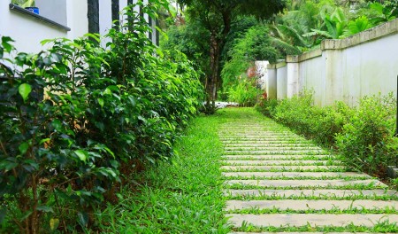 Green Planet Kerala,Landscape Design & Construction Kerala, Water Features & Lighting Kerala, Hardscape Kerala, Indoor Garden Kerala - greenplanetkerala.in