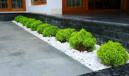 Green Planet Kerala,Landscape Design & Construction Kerala, Water Features & Lighting Kerala, Hardscape Kerala, Indoor Garden Kerala - greenplanetkerala.in