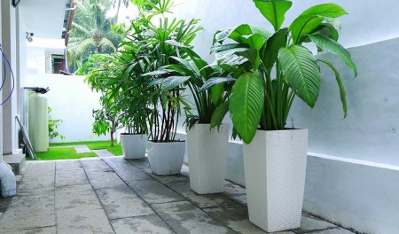 Green Planet Kerala,Landscape Design & Construction Kerala, Water Features & Lighting Kerala, Hardscape Kerala, Indoor Garden Kerala - greenplanetkerala.in