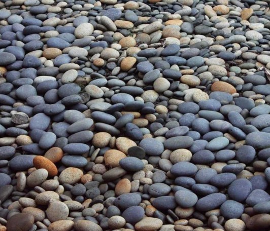 River Stones | GreenPlanet Kerala