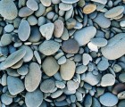 River Stones | GreenPlanet Kerala